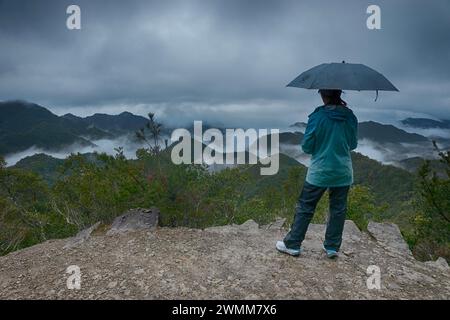 Blick auf Hyakken-gura '3600 Gipfel von Kumano Kodo' nach Regen, Kumano Kodo Pilgerroute, Wakayama, Japan Stockfoto