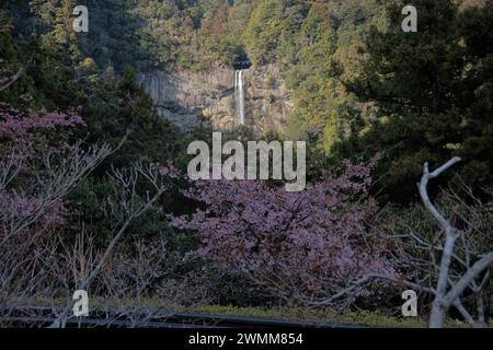 Blick auf Nachi Falls, Nachisan, Wakayama, Japan Stockfoto