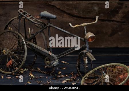 Ein altes Miniaturfahrrad ist in einem Zweigdickicht beschädigt Stockfoto