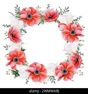 Rote und weiße Anemonen Blumen quadratischer Rahmen Aquarellillustration. Feldmohn-Vorlage für Grußkarten, Etiketten Stockfoto