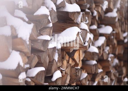 Ein Haufen Holzstämme, der sich in der verschneiten Landschaft aufreiht Stockfoto