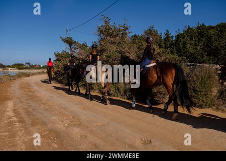 Reiter auf einer grünen Strecke neben Estany des Peix, Formentera, Pitiusas Inseln, Balearen, Spanien Stockfoto