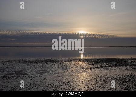Wnter Sunset am Chalkwell Beach, in der Nähe von Southend-on-Sea, Essex, England, Großbritannien Stockfoto