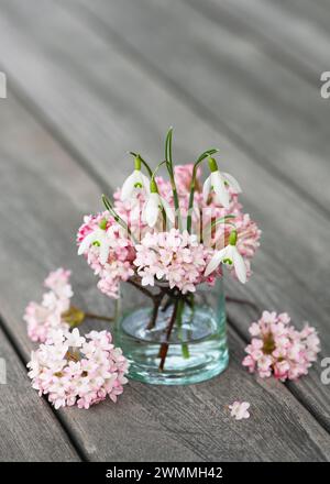 Wunderschöner Strauß aus rosa und weißen Blüten des Winterschneeballs mit Schneeglöckchen in einer Glasvase. (Viburnum farreri). Stockfoto