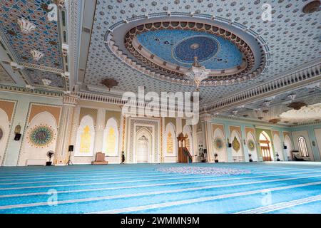 Innenraum der Hazrati Imam Moschee mit blauem, traditionellem Teppich. Gebetssaal in der Moschee. November 2023. Chiwa Chorezm Bezirk. Usbekistan. Stockfoto