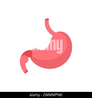 Kunst Illustration Design Konzept Anatomie Körper Menschliches Symbol Symbol Logo Realistisch Des Magens Stock Vektor