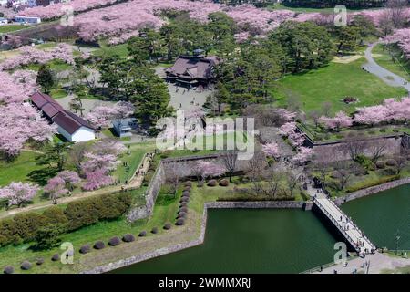 Goryokaku Park in Hakodate während der Frühlingsblüte der Kirschblüte (Sakura). (Hokkaido, Japan) Stockfoto