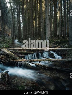 Ein Fluss fließt durch einen Wald mit einem umgestürzten Baum auf seinem Weg. Stockfoto