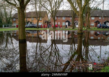 Colnbrook, Slough, Berkshire, Großbritannien. Februar 2024. Hochwasser aus dem Colne Brook in Colnbrook, Slough, Berkshire. Für den Colne Brook in Iver und Colnbrook in Berkshire gibt es einen Hochwasseralarm. Quelle: Maureen McLean/Alamy Live News Stockfoto