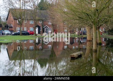 Colnbrook, Slough, Berkshire, Großbritannien. Februar 2024. Hochwasser aus dem Colne Brook in Colnbrook, Slough, Berkshire. Für den Colne Brook in Iver und Colnbrook in Berkshire gibt es einen Hochwasseralarm. Quelle: Maureen McLean/Alamy Live News Stockfoto