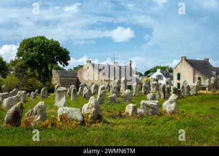 Stehende Steine (oder Menhirs) in der Menec-Ausrichtung in Carnac, Morbihan, Bretagne, Frankreich Stockfoto