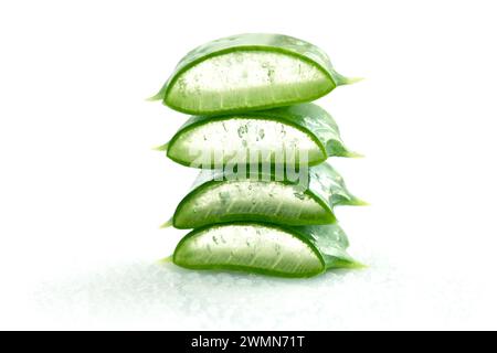 Aloe Vera schneidet auf weißem Hintergrund mit Wassertröpfchen. Für Gesundheits- und Schönheitsprodukte. Stockfoto