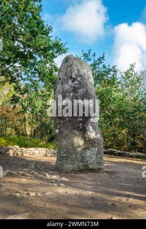 GéANT du Mario, ein großer Megalithstein (oder Menhir) in Carnac, Morbihan, Bretagne, Frankreich Stockfoto