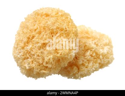 Tremella fuciformis auf weißem Hintergrund Stockfoto