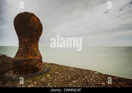 Flaauwers Haven, Moriaanshoofd, Schouwen Duiveland, Oosterschelde, Zeeland, Niederlande, Europa Stockfoto