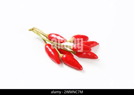 Kleine rote Chilischoten auf weißem Hintergrund Stockfoto