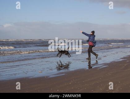 Labrador jagt den Ball ins Meer, der von Lady geworfen wurde Stockfoto