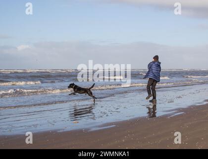 Labrador jagt den Ball ins Meer, der von Lady geworfen wurde Stockfoto