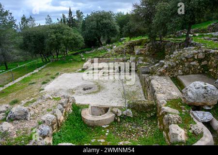 Weinkellerin des alten byzantinischen Reiches, fotografiert in den Jerusalem Hills, Beit Shemesh, Israel Stockfoto