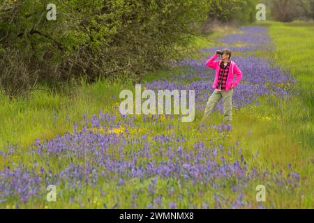 Birder in gemeinsamen Camas (Camassia quamash), William Finley National Wildlife Refuge, Oregon Stockfoto