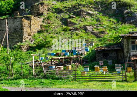 Shatili ist ein historisches Hochland-Dorf in Georgien, nahe der Grenze zu Tschetschenien. Sie liegt an der nördlichen Hanglage Stockfoto