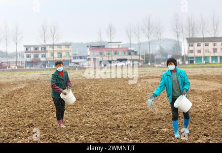 CHONGQING, CHINA - 27. FEBRUAR 2024 - Dorfbewohner wenden Mischdünger auf ein Pflugfeld im Dorf Renxian in der Gemeinde Chongqing, China, Fe Stockfoto