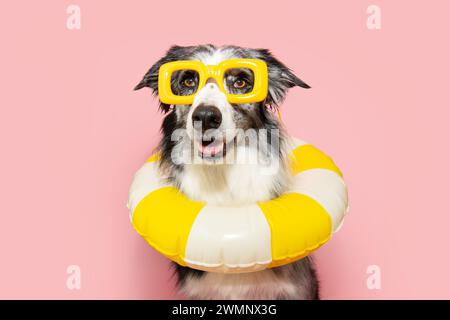 Porträt Sommerhund in einem ringgelben Schwimmer. Isoliert auf rosafarbenem Hintergrund Stockfoto