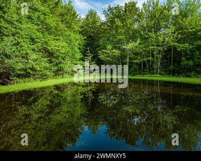 Drohnenfotografie mit erhöhter Aussicht von einem Ferienhaus an den Kaaterskill Falls, einem zweistufigen Wasserfall am Spruce Creek in den östlichen Catskill Mountains von ne Stockfoto