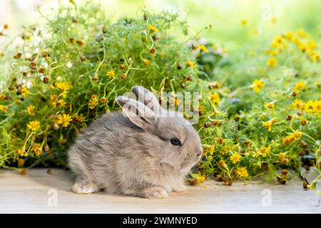 Ein winziger Hase sitzt inmitten blühender Flora und Grün. Stockfoto