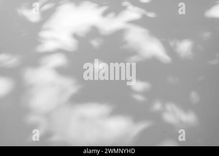 Sonnenlicht wirft Schatten auf die weiße Wand Stockfoto