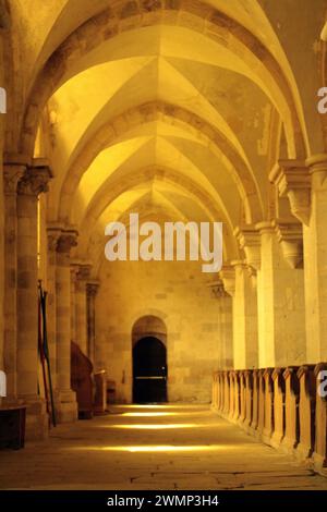 Gang in der Kirche der Zisterzienserabtei, Bélapátfalva Stockfoto