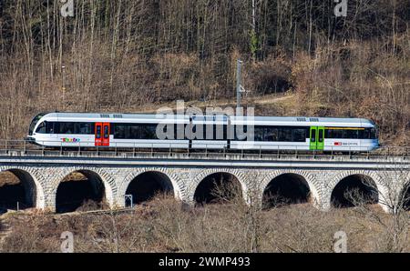 Ein Zug der Firma Thurbo ein Stadler Gelenkstriebwagen GTW fährt auf einem kleinen Viadukt oberhalb des Rheinfalls. (Laufen-Uhwiesen, Schweiz, 03.02.2 Stockfoto