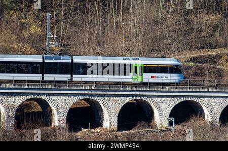 Ein Zug der Firma Thurbo ein Stadler Gelenkstriebwagen GTW fährt auf einem kleinen Viadukt oberhalb des Rheinfalls. (Laufen-Uhwiesen, Schweiz, 03.02.2 Stockfoto