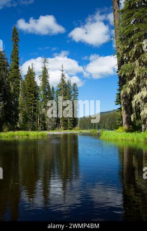 Gold-See, Willamette National Forest, Oregon Stockfoto