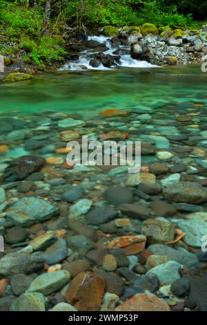 Quartzville Creek Wild and Scenic River, Quartzville Creek National Back Country Byway, Willamette National Forest, Oregon Stockfoto