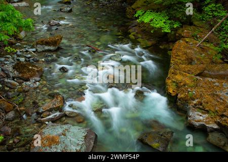 Quartzville Creek Wild and Scenic River, Quartzville Creek National Back Country Byway, Willamette National Forest, Oregon Stockfoto