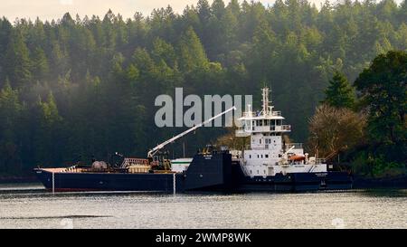 Island Raider-Schlepper und ITB Reliant Fuel Barge liegen in der Departure Bay, Nanaimo, British Columbia. Stockfoto