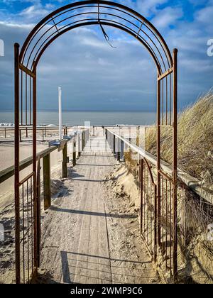 Nordseeinsel Sylt - Strand in Westerland 27.02.24: Die Nordseeinsel Sylt am 27.02.24. Strand vor Westerland mit den neuen Sturmflutmauern, Weg vom Restaurant Seenot zum Strand, Strandgut, vom Sand verschütteter Holzweg Strandübergang Wenningstedt / Sylt Strand Schleswig Holstein Deutschland *** Nordseeinsel Sylt Strand in Westerland 27 02 24 die Nordseeinsel Sylt am 27 02 24 Strand vor Westerland mit den neuen Sturmschwellwänden, Weg vom Restaurant Seenot zum Strand, Treibgut, Holzweg von Sandstrand begraben, Wenningstedt Sylt Strand Schleswig Holstein Deutschland IMG 10 Stockfoto