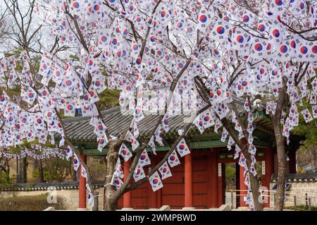 Seoul, Südkorea. Februar 2024. Die Bäume sind mit Taegeukgi, Südkoreas Nationalflaggen am Eingang zum Hyochang Park im Zentrum von Seoul geschmückt, um an den Tag der koreanischen Unabhängigkeitsbewegung zu erinnern. Der Tag der Koreanischen Unabhängigkeitsbewegung, auch bekannt als 1. März-Bewegung, war eine wichtige Protestbewegung der Koreaner, die Anfang 1919 die Unabhängigkeit von Japan und ein Ende der Zwangsassimilation in die japanische Kultur forderte. Quelle: SOPA Images Limited/Alamy Live News Stockfoto