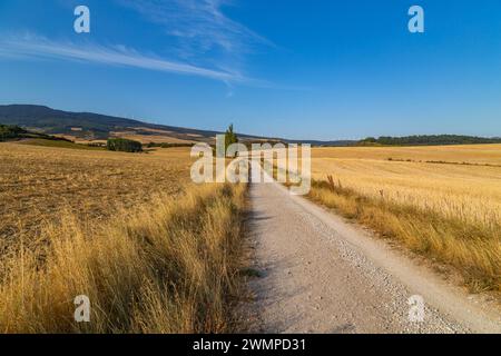 Entlang des Jakobsweges, dem Weg von St. Jakobsweg, Navarra, Spanien. Stockfoto