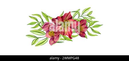 Violette Hellebores mit grünen Kräutern. Frühlingspflanzen. Drei Helleborus-Blumenköpfe mit Eukalyptuszweigen. Gartenblumen. Aquarellabbildung. Stockfoto