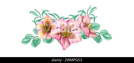 Rosafarbene Hellebores mit Minzkräutern. Frühlingspflanzen. Drei Helleborus-Blumenköpfe mit Eukalyptuszweigen. Aquarellabbildung. Stockfoto