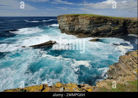 Old Red Sandstone Sea Cliffs in Yesnaby, Festland Orkney, Schottland, Juli Stockfoto