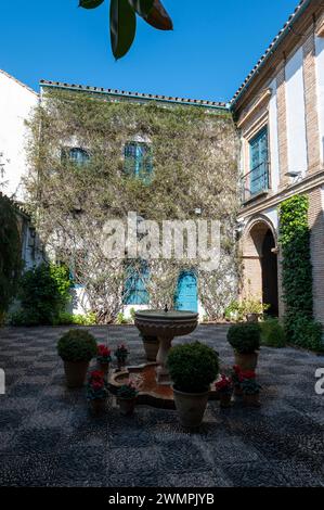 Patio Jardín del Palacio de Viana im Palacio de Viana (Palast von Viana), einem „Museum der Terrassen“ in Cordoba, Andalusien im Süden Spaniens. Pa Stockfoto