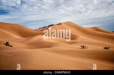 Ein Mann und ein Hund reisen durch eine riesige Wüstenlandschaft Stockfoto