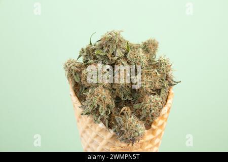 Trockene Knospen von medizinischem Marihuana mit CBD-Gehalt in einer Waffeleiskegel. Auf einem mintgrünen Hintergrund. Alternative medizinische Cannabisbehandlung Stockfoto
