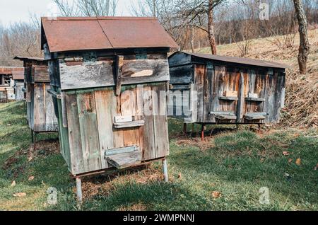 Alte Holzbienenstöcke im alten Bienenhaus im ukrainischen Dorf Stockfoto