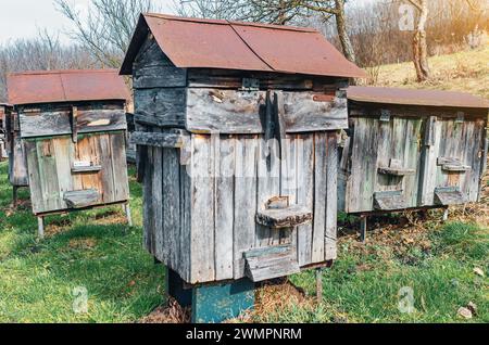 Alte Holzbienenstöcke im alten Bienenhaus im ukrainischen Dorf Stockfoto