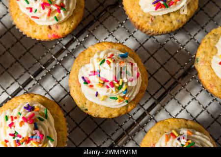 Süße hausgemachte Funfetti-Cupcakes mit Zuckerguss und Sprenkeln Stockfoto