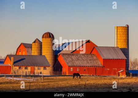 Amish Farmhouse an einem Wintertag in Mecosta County, Michigan, USA [keine Freigabe der Immobilie; nur redaktionelle Lizenzierung] Stockfoto